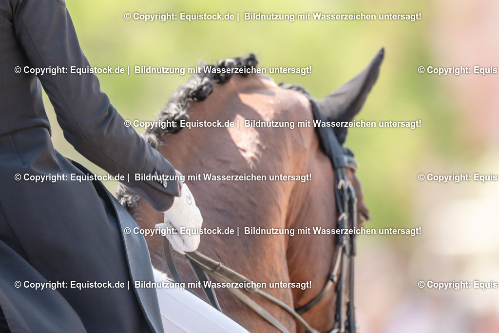 20230529_29_Louisdor_0112 | equistock