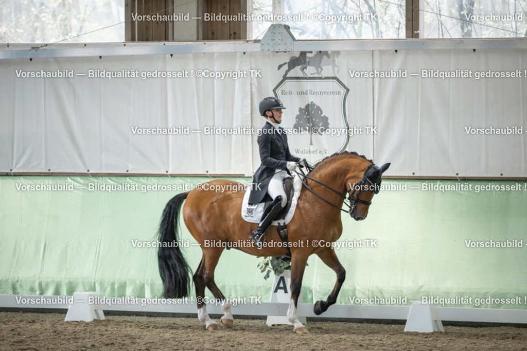 _D5A5927 | Emotionale Pferde- & People-Fotografie rund um Heidelberg, Leimen & Umgebung. Natürliche Fotos von Pferd, Mensch & Familie. Jetzt Termin sichern!