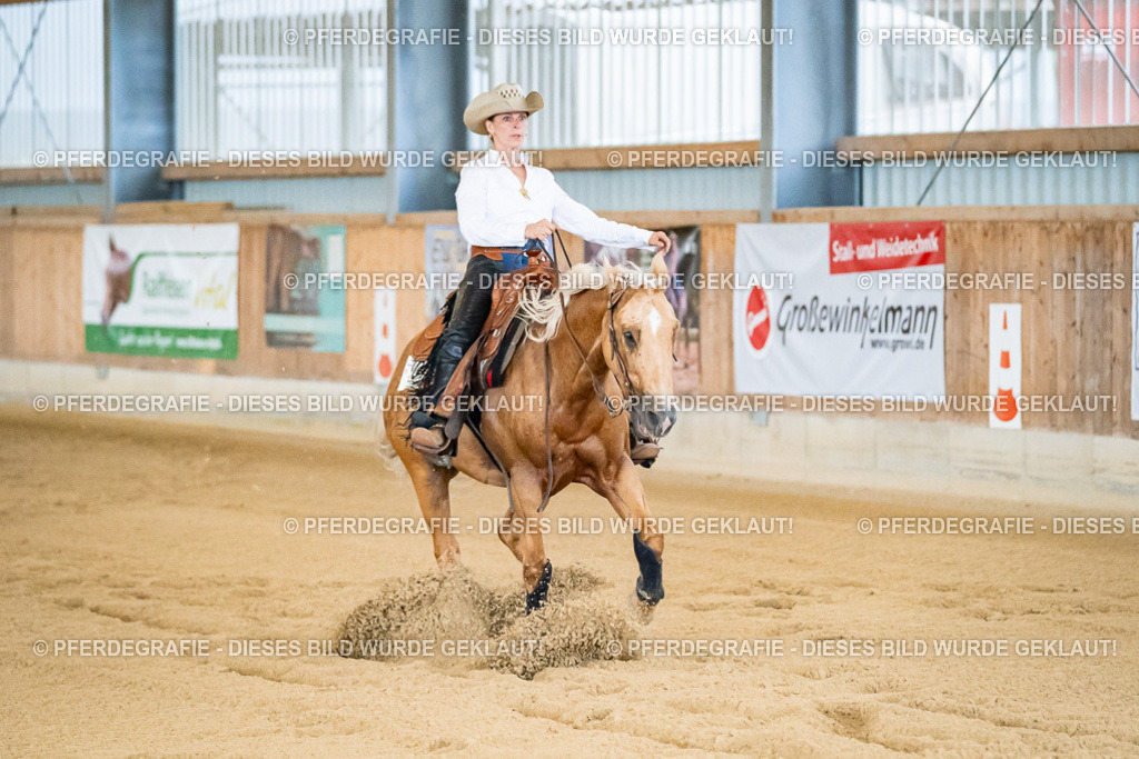 DSC08849 | Pferdegrafie