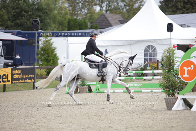 1J2A1725Klas-Kristoff Kudlinski_ Murphy me BE_ Kn758_ Havekost | Foto- und Videografie für alles rund ums Pferd. Hochwertige Bilder und Videos vom Spring- und Dressurreiten, Voltigieren & mehr. Jetzt aktuelle Veranstaltungen und Preise im Shop ansehen. - Realisiert mit Pictrs.com