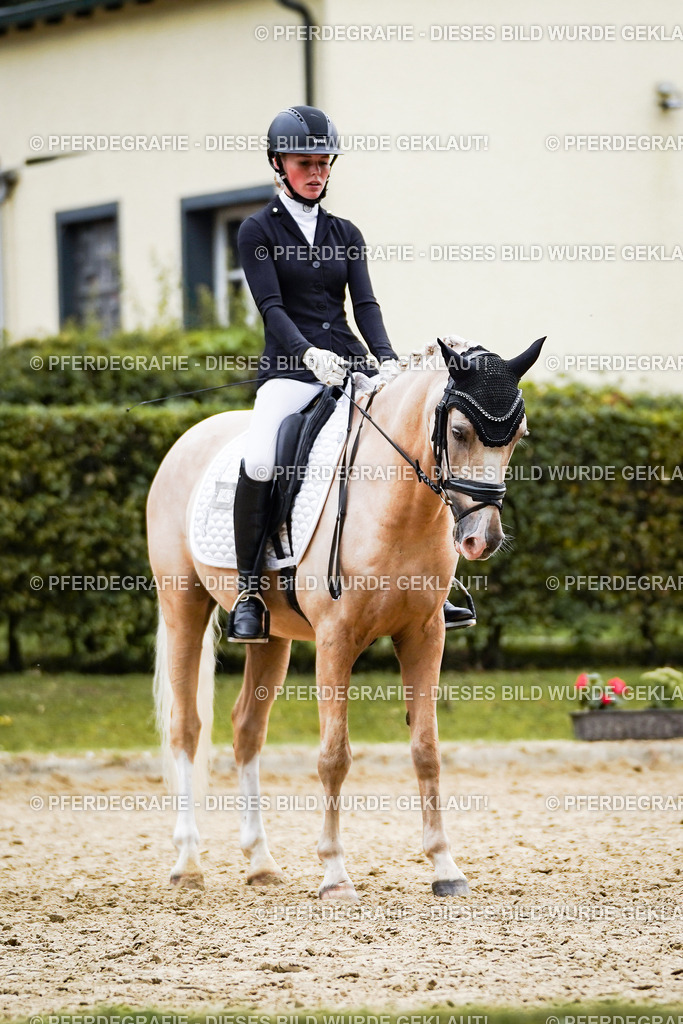 DSC02076 | Pferdegrafie