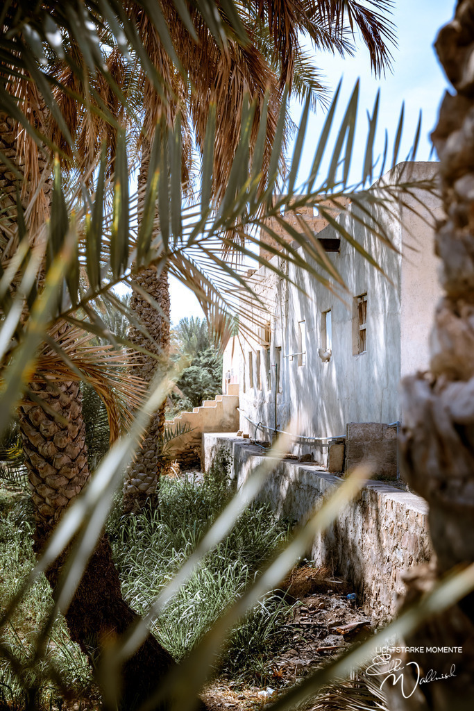 Falaj Al Khatmain (UNESCO Weltkulturerbe), bei Nizwa, Oman | Herzlich willkommen auf meiner Seite! Ich bin Elke Wallnisch, Deine Fotografin für lichtstarke Momente. Der Name steht für alles, was mich mit der Fotografie verbindet: Das Licht und seine machtvolle Wirkung auf eine Situation oder unsere Stimmung - Realisiert mit Pictrs.com