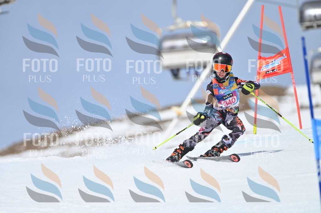 BGV_3446 | holidayphoto