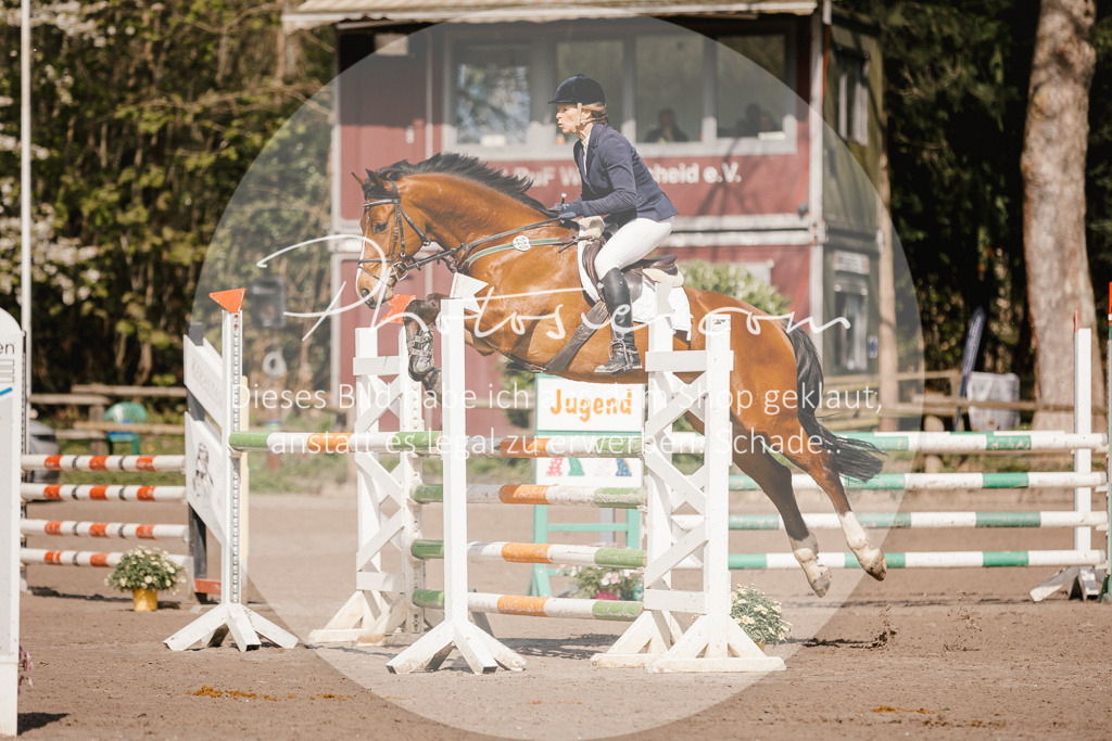 3I6A4013 | Stimmungsvolle Portraits und Reitsportfotografie im Ruhrgebiet und im Münsterland.

Pferdefotografie, Hundefotografie, Tierfotografie, Reportagen, Portraits von Tier und Mensch, Turnierfotografie in Bochum, Recklinghausen, Marl, Haltern am See, Dülmen.. - Realisiert mit Pictrs.com