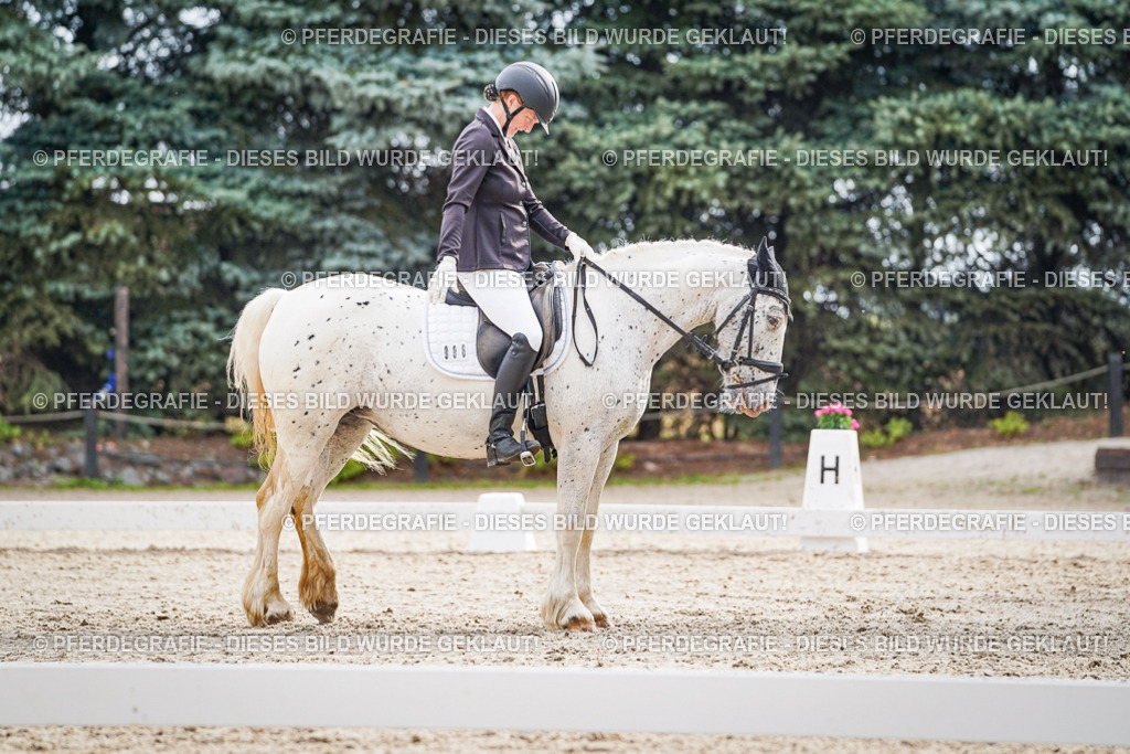 DSC01059 | Pferdegrafie