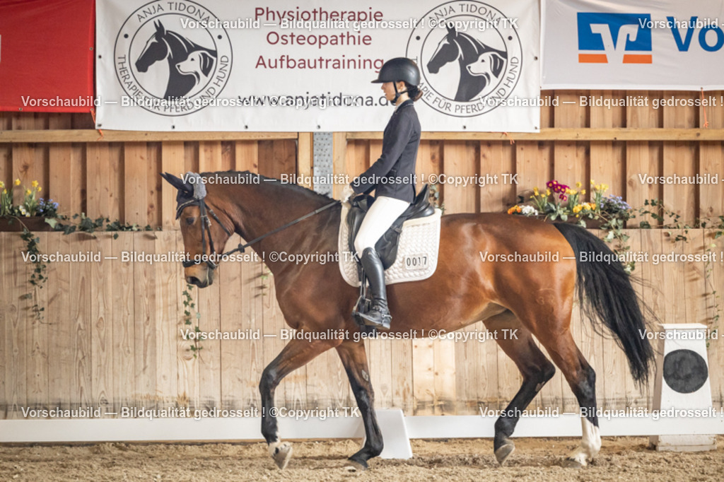 _D5A1364 | Emotionale Pferde- & People-Fotografie rund um Heidelberg, Leimen & Umgebung. Natürliche Fotos von Pferd, Mensch & Familie. Jetzt Termin sichern!