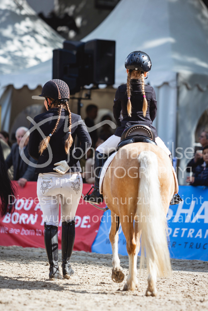 240915_OWLCh_FuehrzuegelWB-689 | Deine schönsten Turniermomente als professionelle Fotos! Entdecke hochwertige Pferdesport-Fotografie im Online-Shop. Jetzt Fotos finden & bestellen!