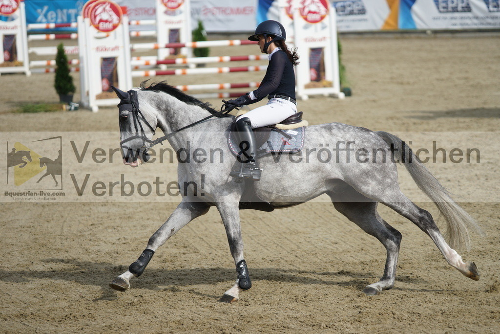 DSC05385 | equestrian-live-com