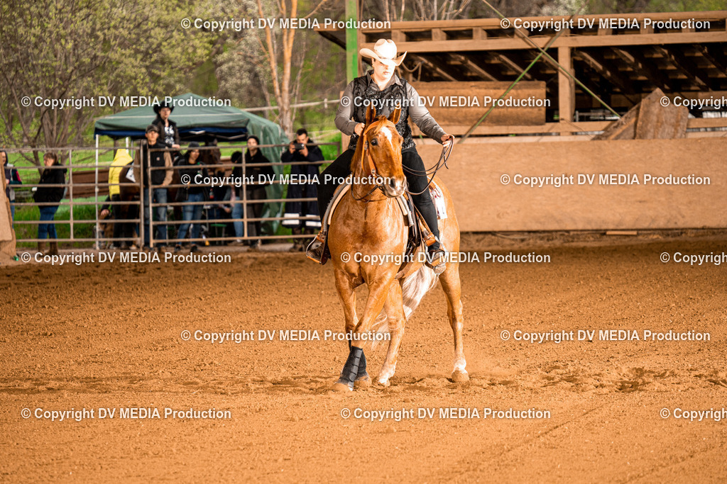 BAL01055 | dv-media-shop - Realisiert mit Pictrs.com