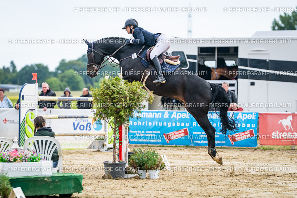 DSC06866 | Pferdegrafie