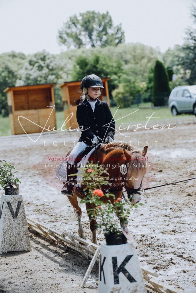 DSC_2300 | Pferde- und Turnierfotografie in Westsachsen. Pferdeportraits, Auftragszeichnungen und intuitive Kunst.