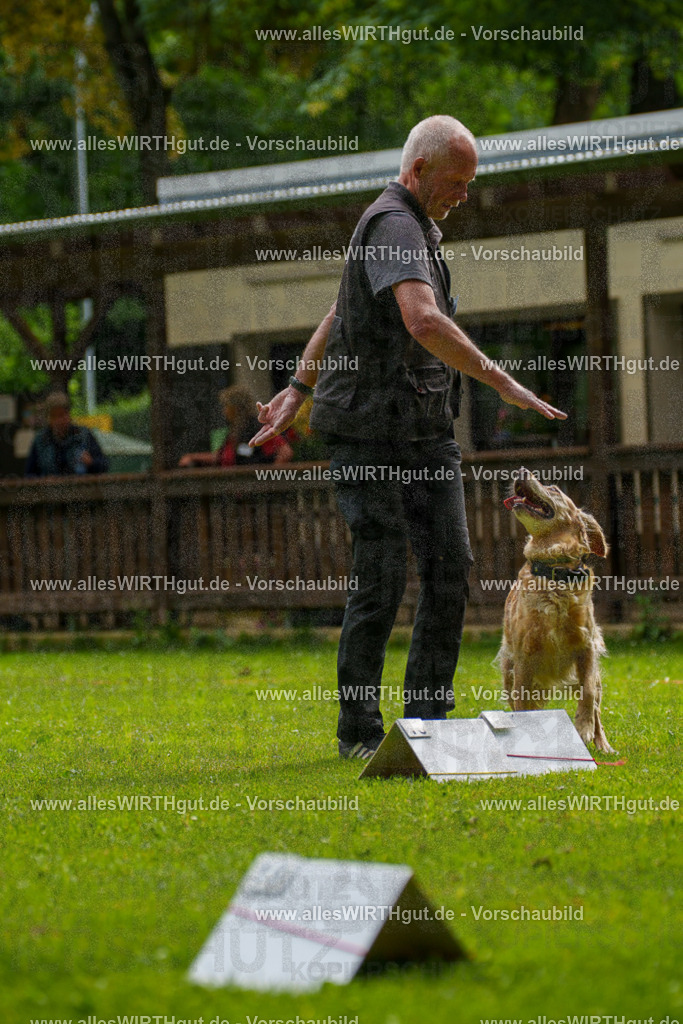 @allesWIRTHgut_Tierfotografie - www.allesWIRTHgut.de - 093339-7R507325 | Professionelle Tierfotografie in Mönchengladbach von Daniel Wirth (allesWIRTHgut). Liebevolle & natürliche Bilder von Hunden & Katzen für unvergessliche Erinnerungen.