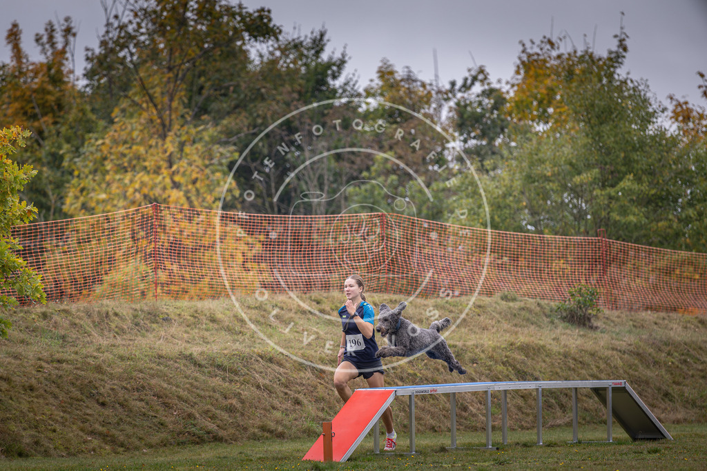 Pfotenfotografie_DV3A1390 | Hundefotografie, Tierfotograf, Pfotenfotografie, Fotoshooting Hund, Hunde Portrait, Hundesport, Hundeportraits, Heideshooting, Hunde, Sportfotograf, Hundefotograf, Turnierhundsport, THS,  - Realisiert mit Pictrs.com