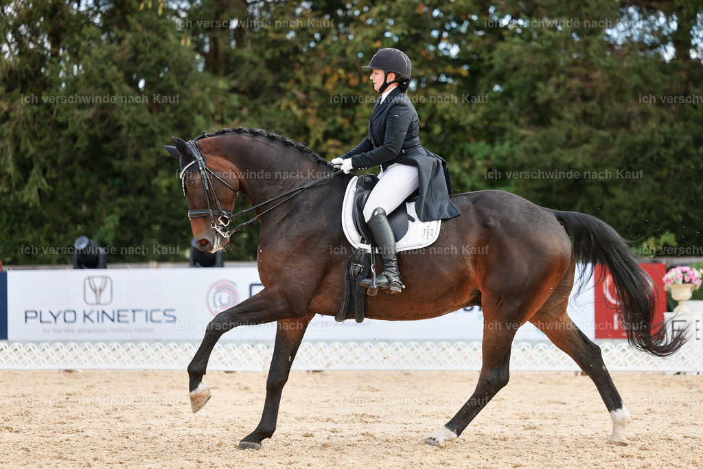 6-160-AMATUER-DRESSUR S_  -StoibPH-3458 | working equitationturnier fotograf videograf stoibphotography marixx film working equitation deutschland reitsport turnierfotografie eventfotografie equestrian events