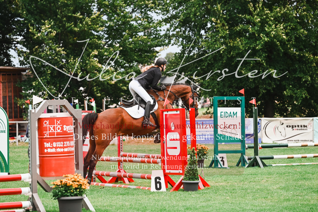 DSC_5927 | Pferde- und Turnierfotografie in Westsachsen. Pferdeportraits, Auftragszeichnungen und intuitive Kunst.