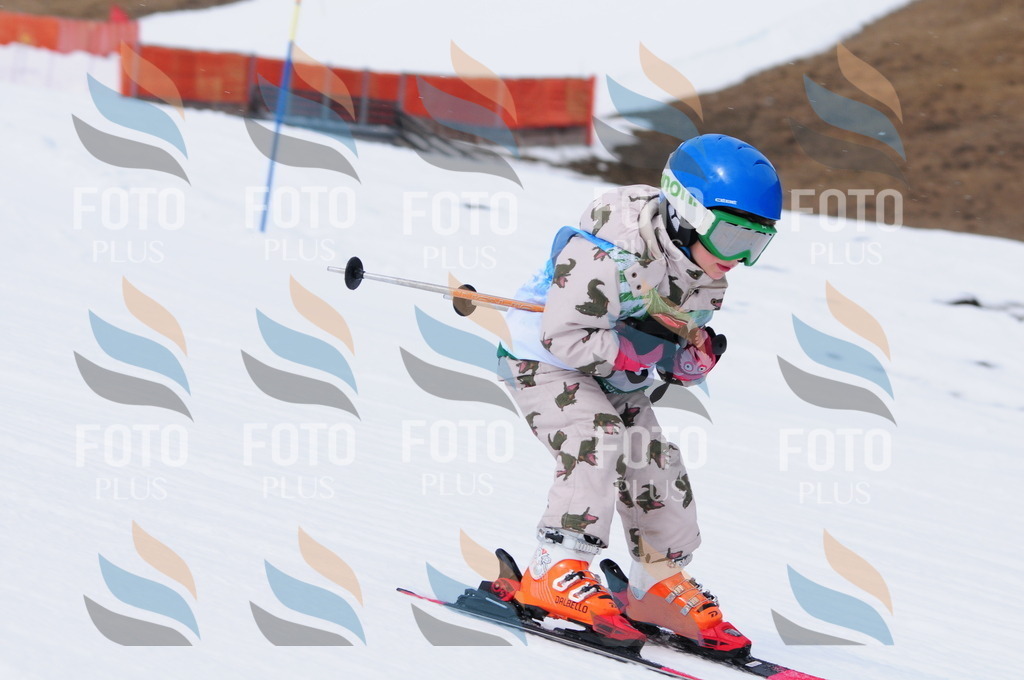 A3511 | holidayphoto