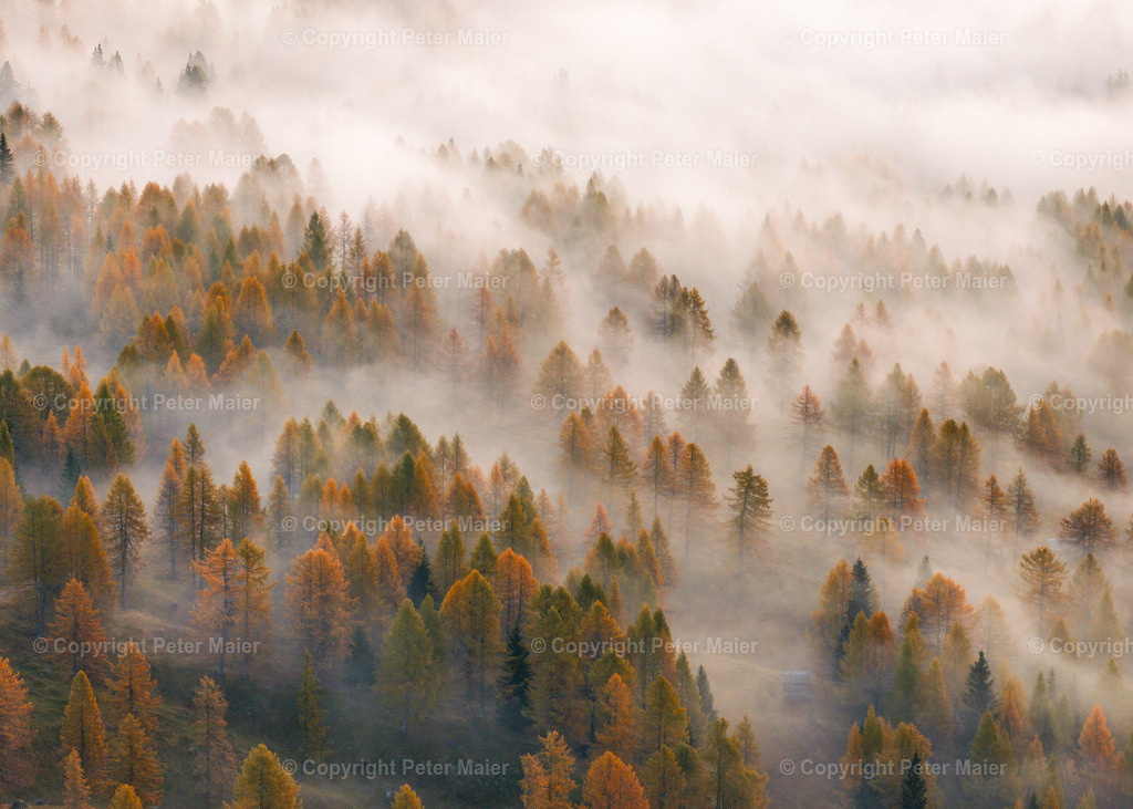 Lesachtal_Herbst-44 | default