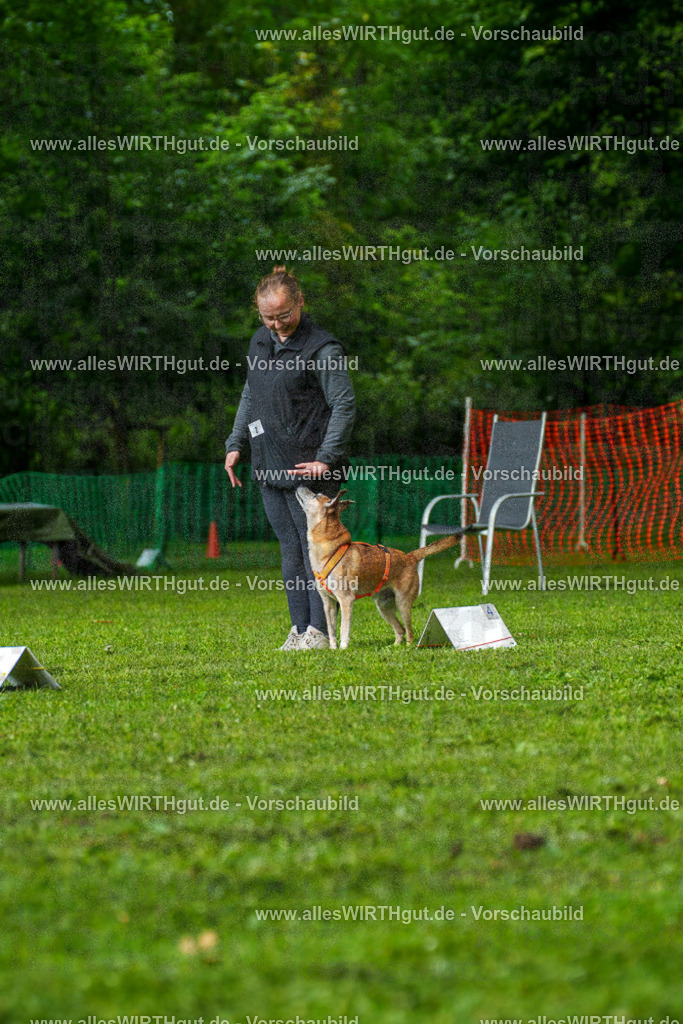 @allesWIRTHgut_Tierfotografie - www.allesWIRTHgut.de - 7R502026 | Professionelle Tierfotografie in Mönchengladbach von Daniel Wirth (allesWIRTHgut). Liebevolle & natürliche Bilder von Hunden & Katzen für unvergessliche Erinnerungen.