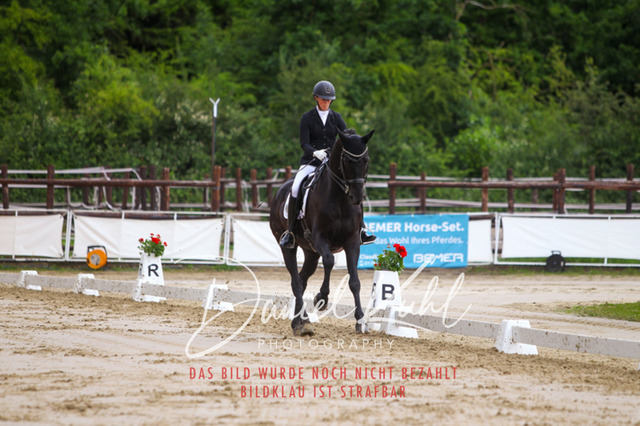 DKP47704 | Turniersportfotografie; Pferdefotografie; Dressurfotografie