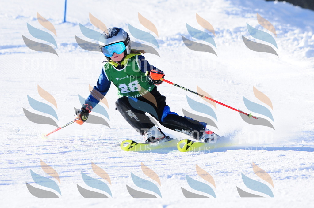B2005 | holidayphoto