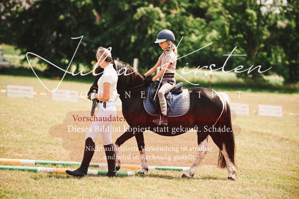 DSC_6559 | Pferde- und Turnierfotografie in Westsachsen. Pferdeportraits, Auftragszeichnungen und intuitive Kunst.