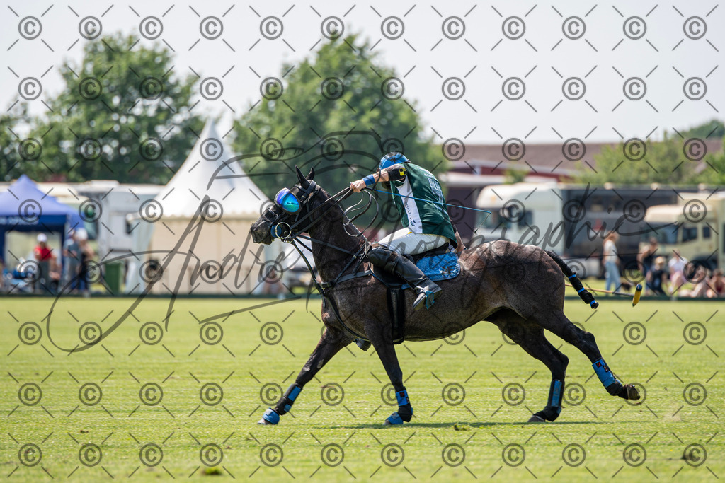 POL_2192 | andre_photographic