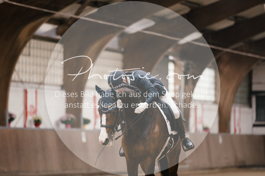 3I6A8646 | Stimmungsvolle Portraits und Reitsportfotografie im Ruhrgebiet und im Münsterland.

Pferdefotografie, Hundefotografie, Tierfotografie, Reportagen, Portraits von Tier und Mensch, Turnierfotografie in Bochum, Recklinghausen, Marl, Haltern am See, Dülmen.. - Realisiert mit Pictrs.com
