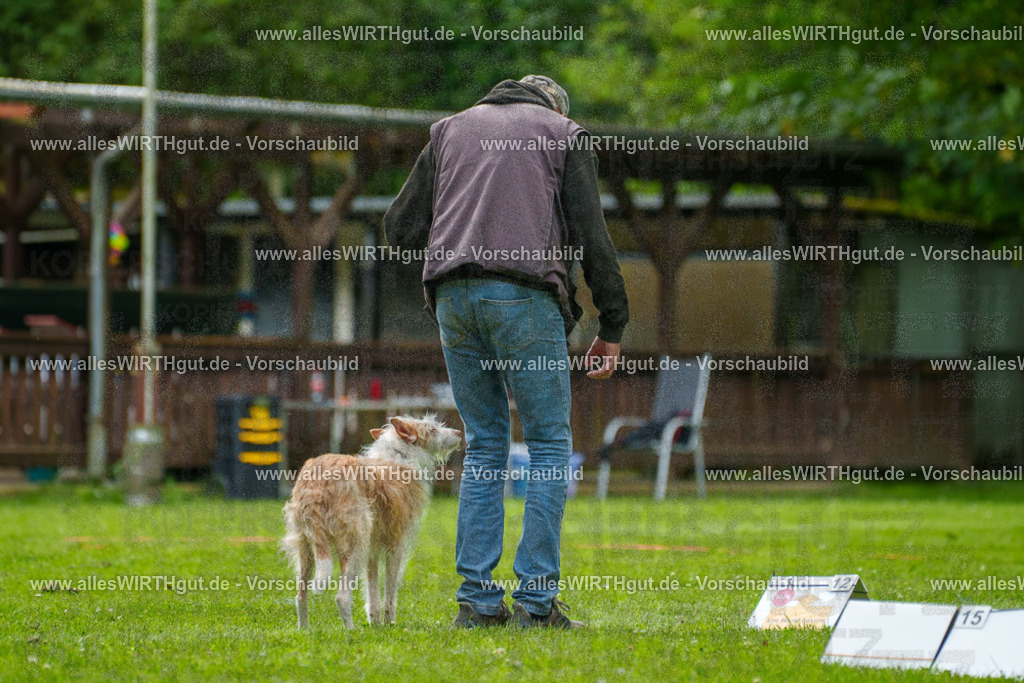 @allesWIRTHgut_Tierfotografie - www.allesWIRTHgut.de - 7R501363 | Professionelle Tierfotografie in Mönchengladbach von Daniel Wirth (allesWIRTHgut). Liebevolle & natürliche Bilder von Hunden & Katzen für unvergessliche Erinnerungen.