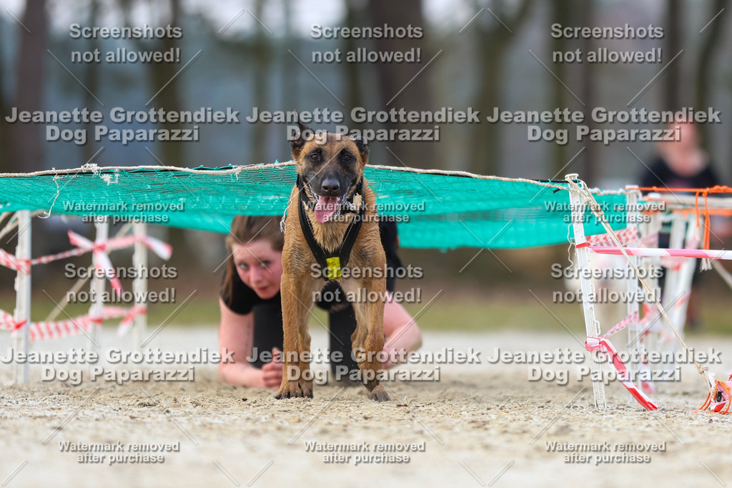 Dog Paparazzi - Strongdog North Mrz26-3780 | Dog Paparazzi Jeanette Grottendiek Fotografie & Videografie - Realisiert mit Pictrs.com
