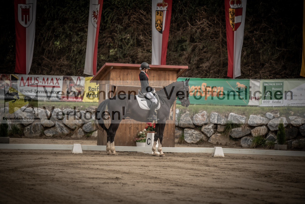 DSC_8233 | equestrian-live-com
