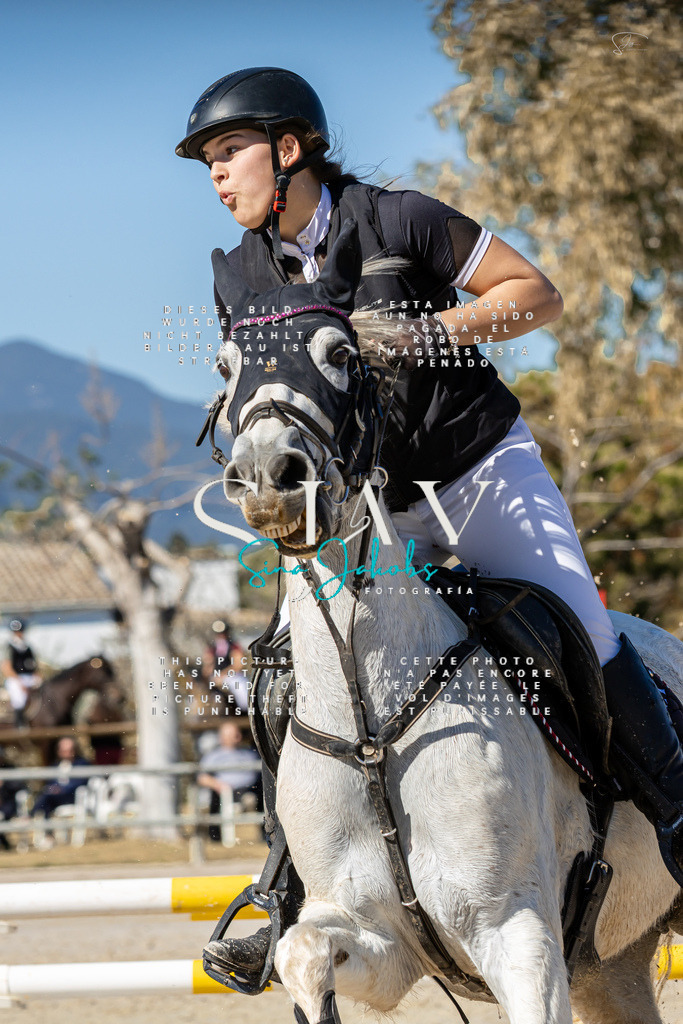 IMG_9377 | s-jay-photography - Realisiert mit Pictrs.com