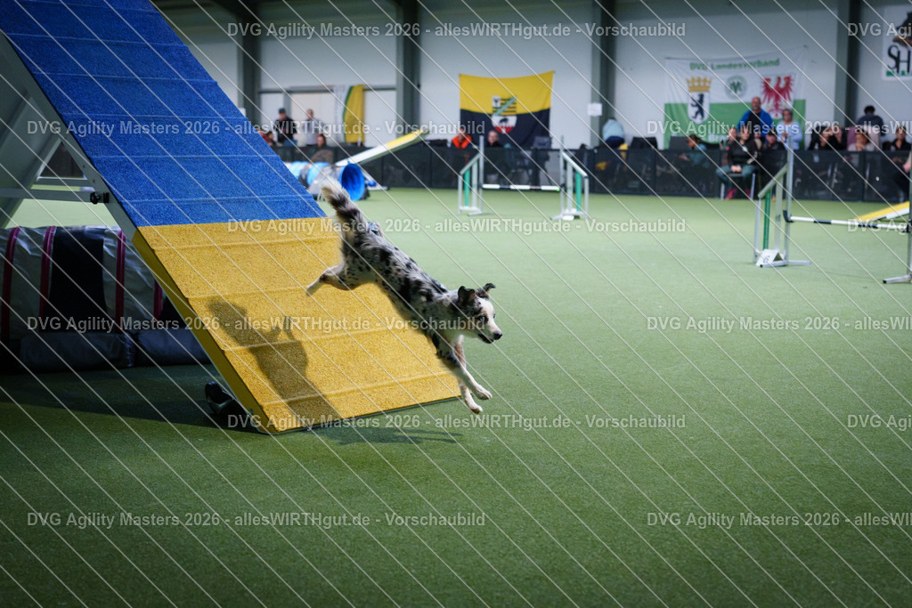 allesWIRTHgut_Tierfotografie-DVG_Agility_Masters_2026-14_40-7R505230 | Professionelle Tierfotografie in Mönchengladbach von Daniel Wirth (allesWIRTHgut). Liebevolle & natürliche Bilder von Hunden & Katzen für unvergessliche Erinnerungen.