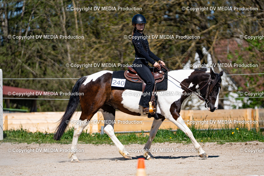 Balingen Tag 1-1076 | dv-media-shop - Realisiert mit Pictrs.com