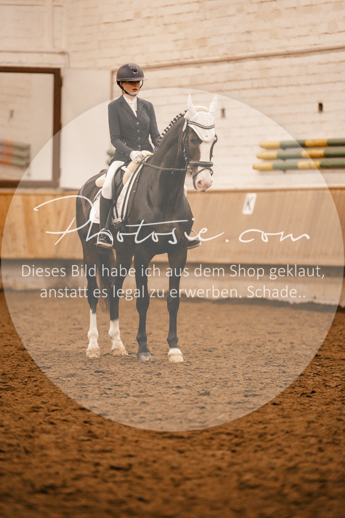 3I6A5188 | Stimmungsvolle Portraits und Reitsportfotografie im Ruhrgebiet und im Münsterland.

Pferdefotografie, Hundefotografie, Tierfotografie, Reportagen, Portraits von Tier und Mensch, Turnierfotografie in Bochum, Recklinghausen, Marl, Haltern am See, Dülmen.. - Realisiert mit Pictrs.com