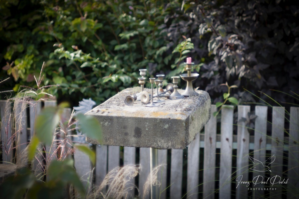 2024-08-10_18_50_58_L1007877 | Franz Podek