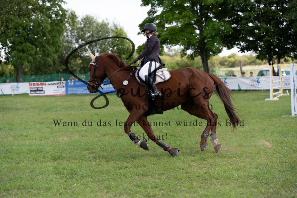 A7V04467 | Pferdefotograf