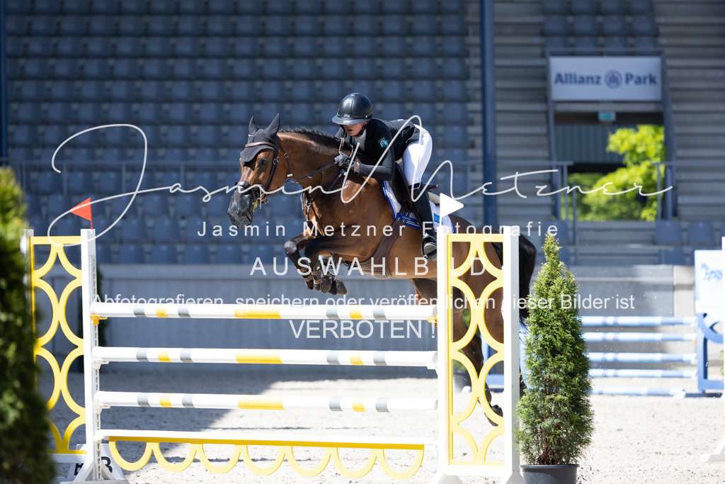 126A1610 | jasminmetznerfotografie