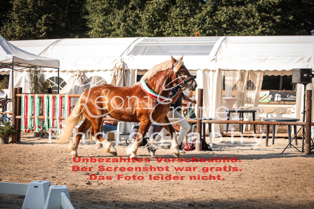 Fr4K00054 | Leoni Ertmer Photography - Realisiert mit Pictrs.com