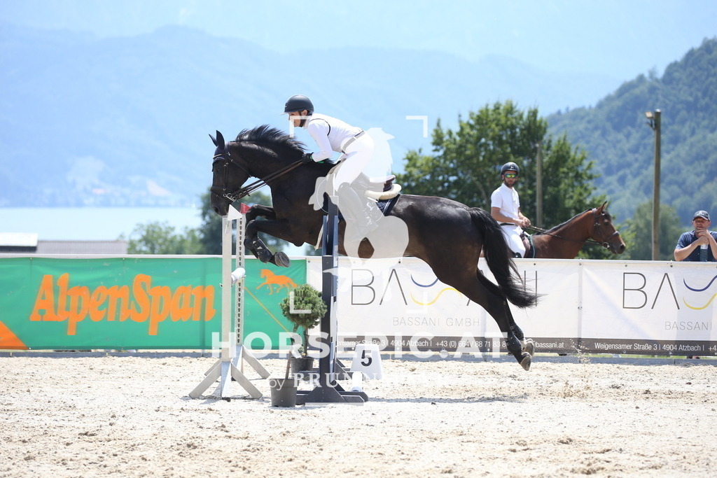 DL2Q2184 | Willkommen bei Brunnmayr - Design & Fotografie – Ihrem Spezialisten für Reitturniere und Pferdeveranstaltungen in Oberösterreich, Salzburg und Bayern! Seit über 17 Jahren sind wir leidenschaftlich dabei.