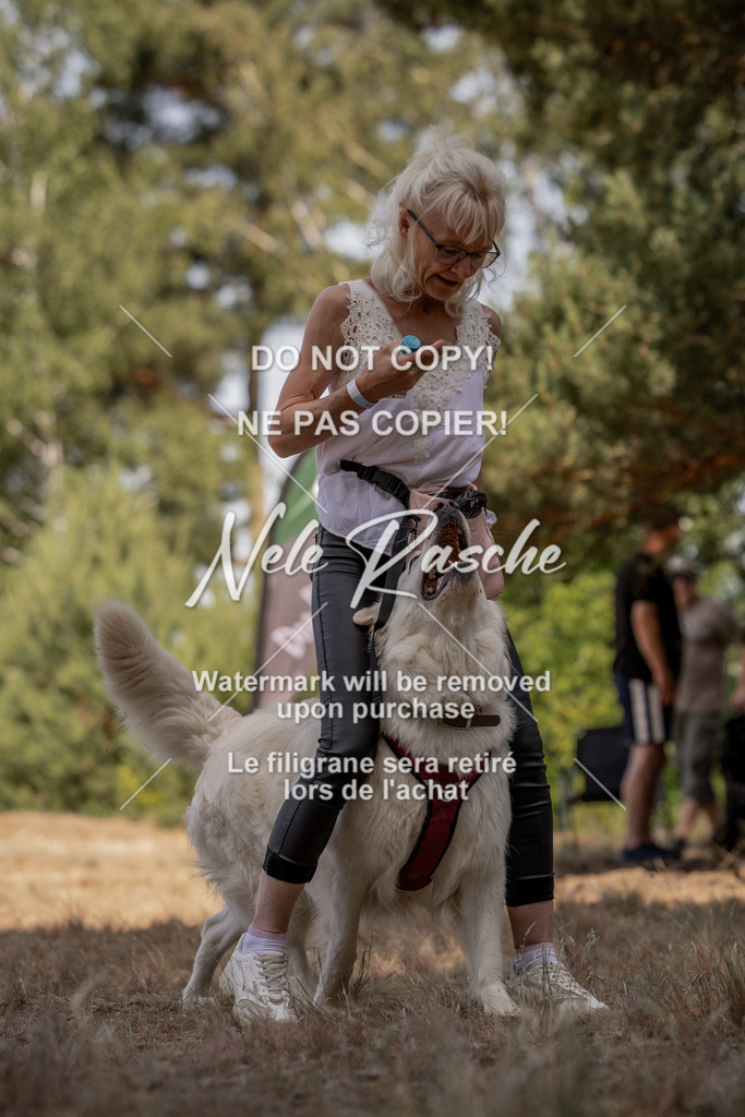 nelerasche_soDD2_197 | nelerasche