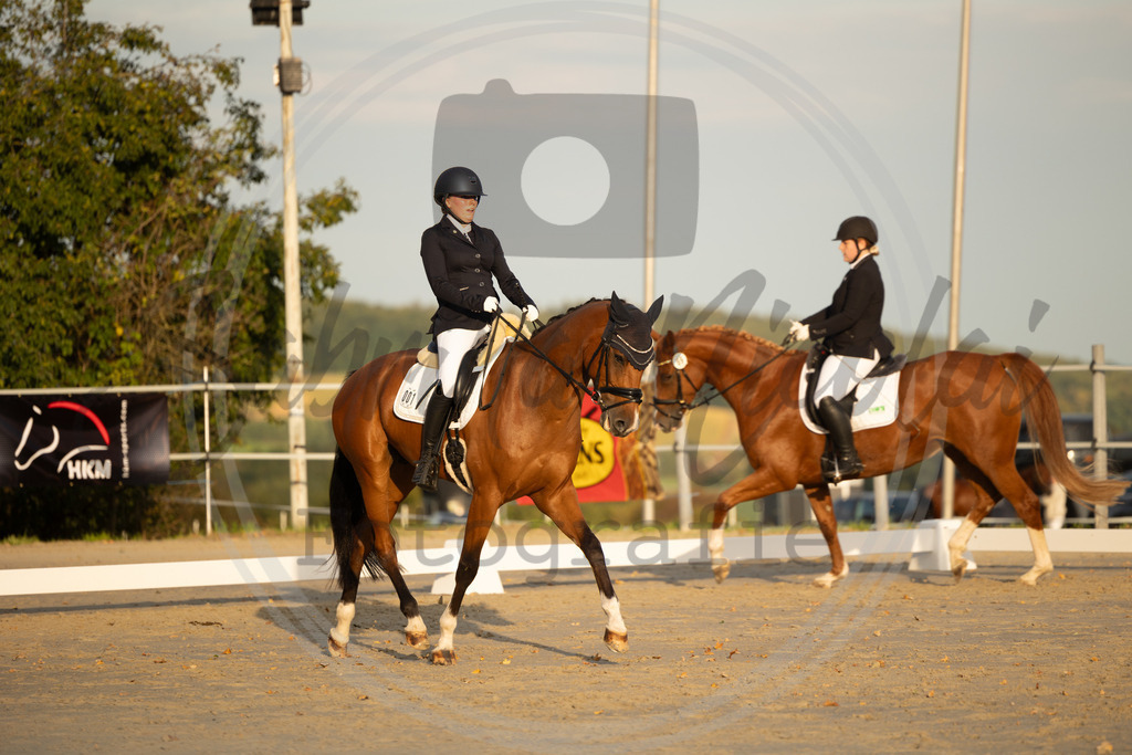 994A0136 | sabrinanicolaifotografie - Realisiert mit Pictrs.com