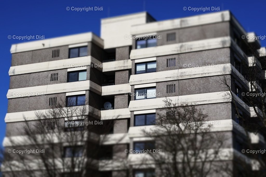 IMG_2127 | Didi - Realisiert mit Pictrs.com