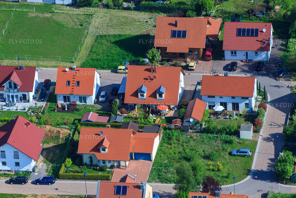 Luftbild: Im Erbsenfeld im Ortsteil Mörzheim in Landau im Bundesland Rheinland-Pfalz in Deutschland. Foto: IMG_27120.jpg vom 23.05.2010 durch Werner Riehm/FLY-FOTO.de