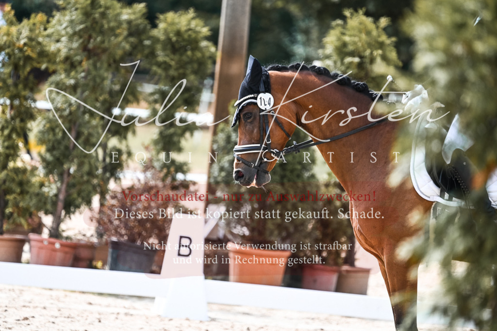 DSC_5132 | Pferde- und Turnierfotografie in Westsachsen. Pferdeportraits, Auftragszeichnungen und intuitive Kunst.