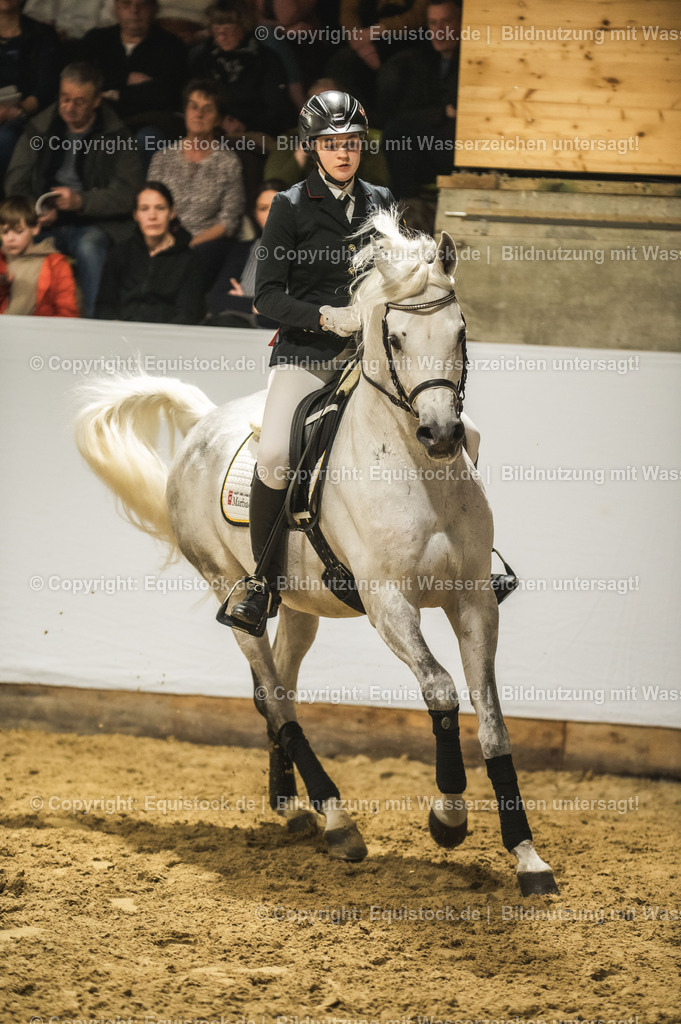 20240302_Hengstvorstellung_Marbach_TOMsPiC_1015-2 | equistock