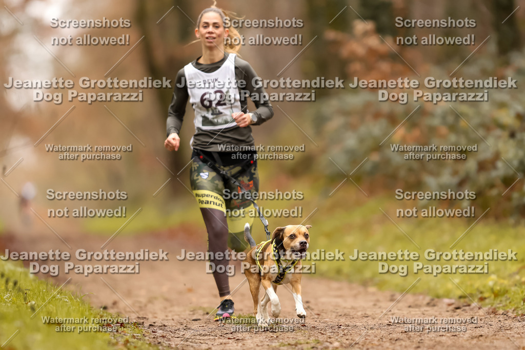 Dog Paparazzi - Speedhunter Mannheim  2025-185 | Dog Paparazzi Jeanette Grottendiek Fotografie & Videografie
