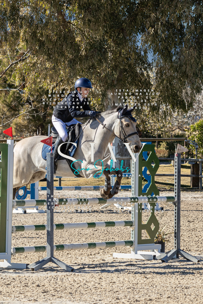 IMG_1484 | s-jay-photography - Realisiert mit Pictrs.com