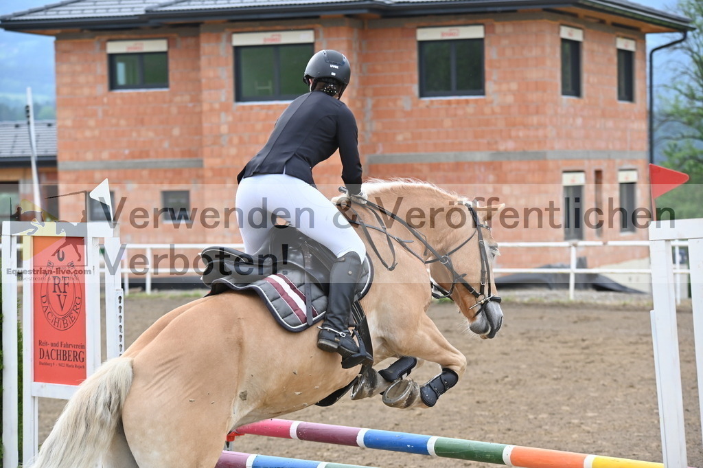 DSC_7815 | equestrian-live-com