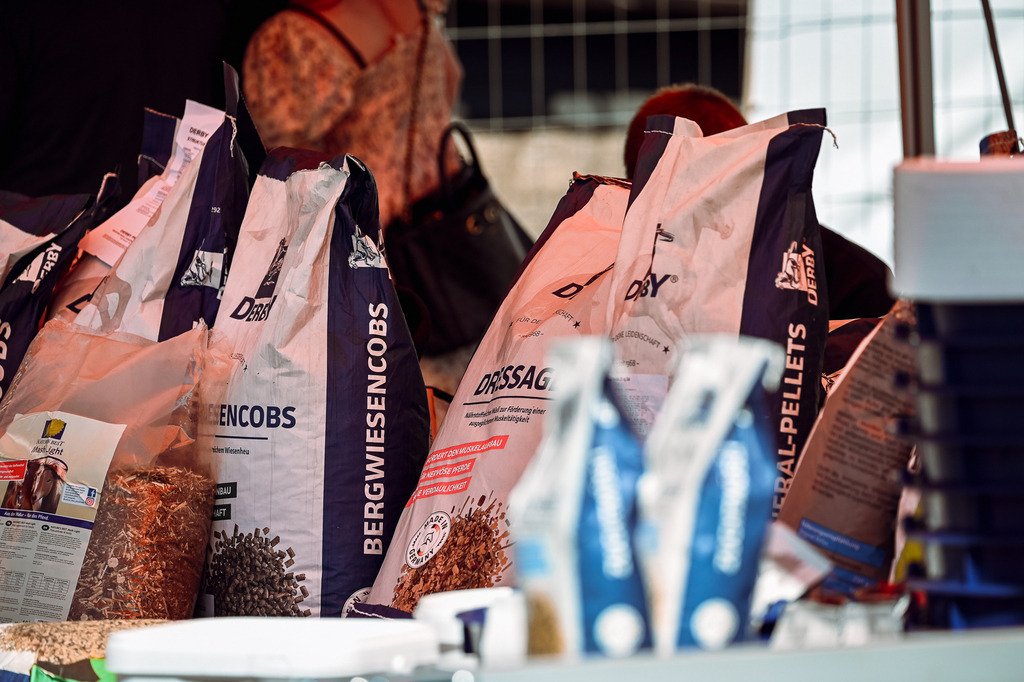 DSC_1218 | Pferde- und Turnierfotografie in Westsachsen. Pferdeportraits, Auftragszeichnungen und intuitive Kunst.