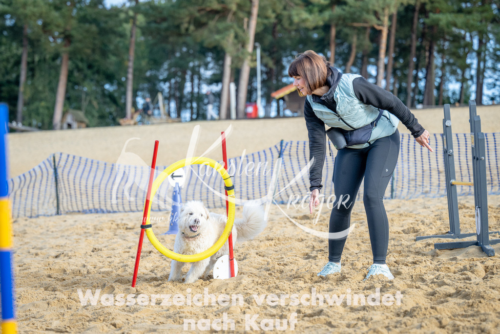 0956_ZZ93155 | kk-dogfotos
